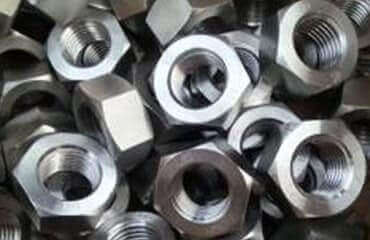 Stainless Steel Grade 310 Nut