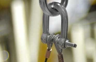 Stainless Steel Grade 316/ 316L Forgings
