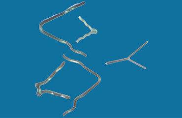 Monel Anchors